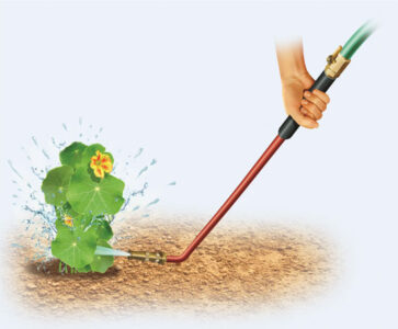 Use a Watering Wand for Organic Pest Control Image